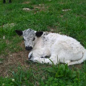 farma_16_20190425_1777200466