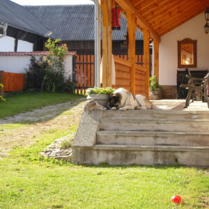 penzion_12_20190425_1586398204